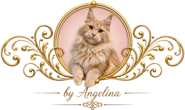 Fluffy orange cat in ornate gold frame