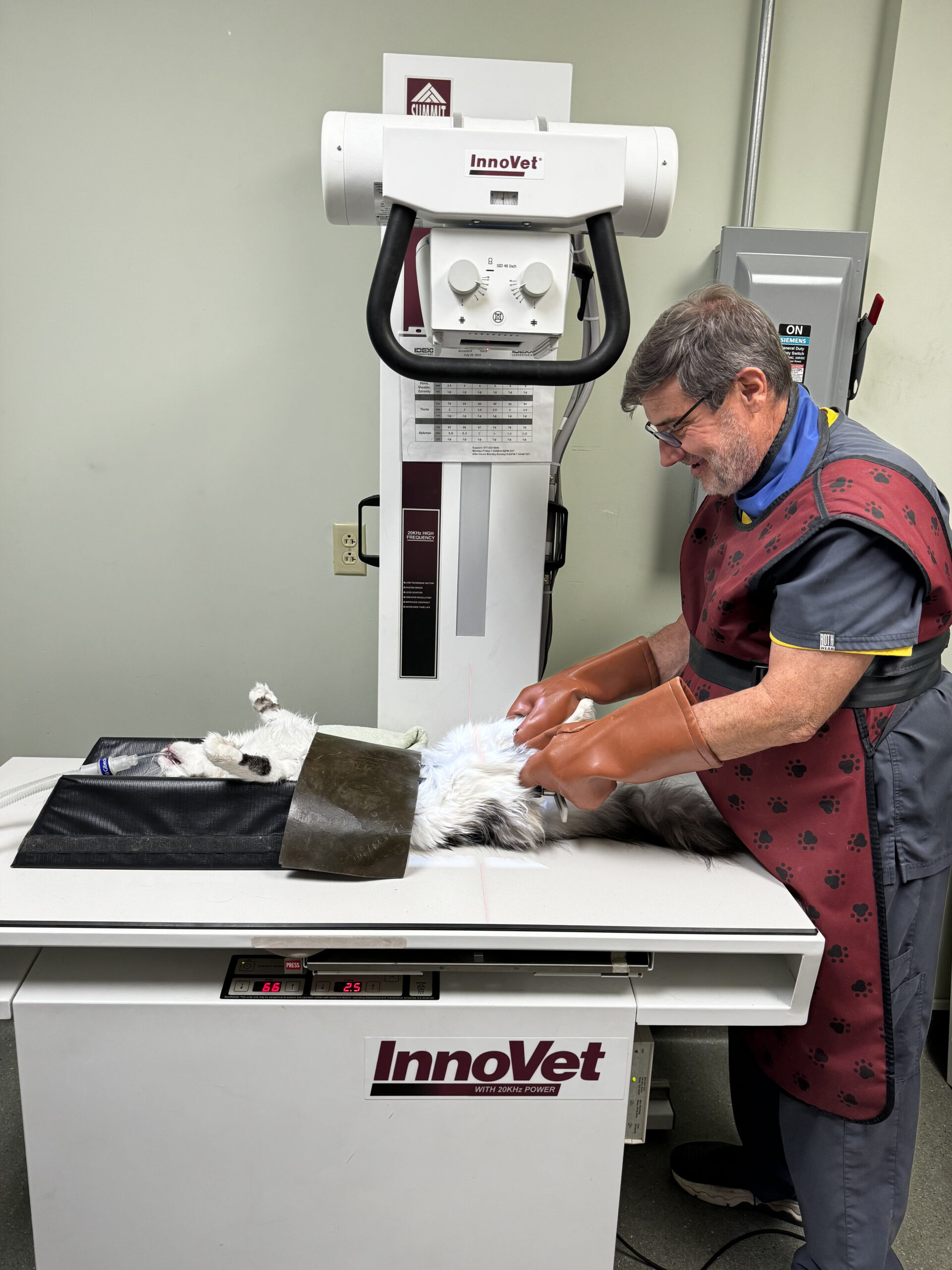 Veterinarian performing x-ray on dog