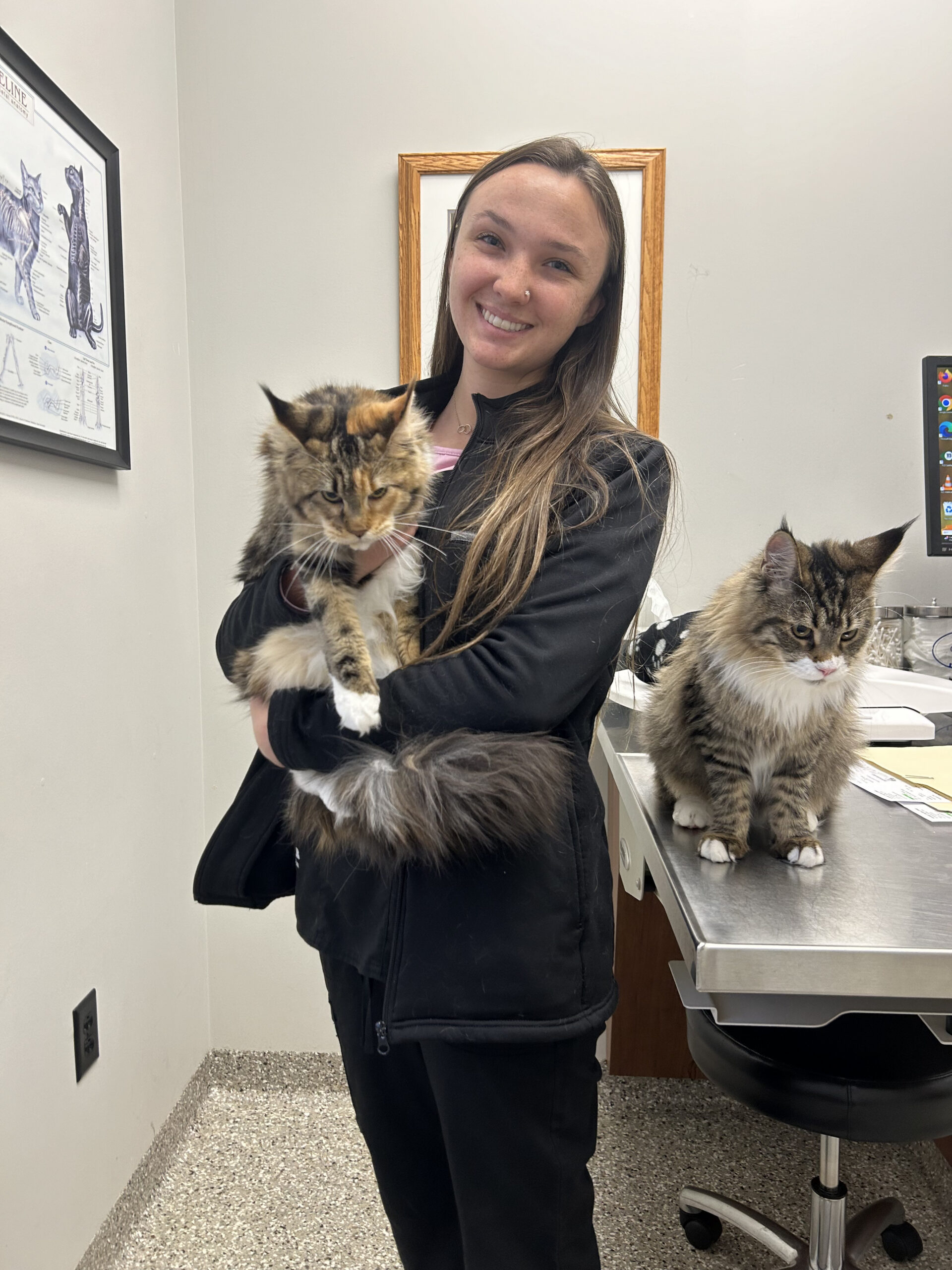 Woman holding fluffy cat beside seated cat