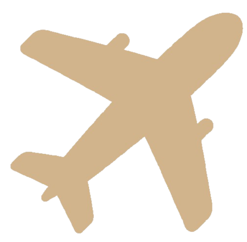 icon1